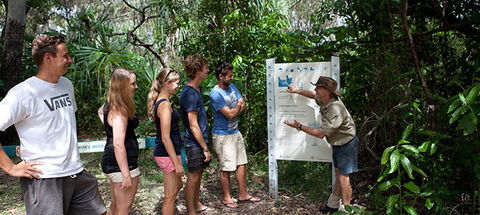 Magnetic Island YHA - Hotel Accommodation 8