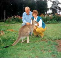 Bimbimbi and Little Hollow Farm Stay - Hotel Accommodation