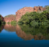 Adels Grove Camping Ground - Hotel Accommodation