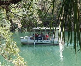 Adels Grove Camping Ground - Hotel Accommodation 2