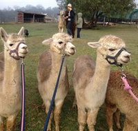 Bunyip Springs Farmstay - Hotel Accommodation