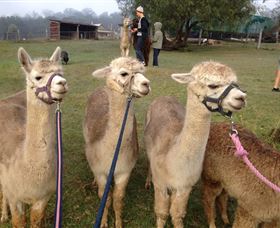 Bunyip Springs Farmstay - Hotel Accommodation 0