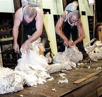 The Woolshed at Jondaryan Caravan and Camping - Hotel Accommodation