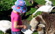 Cedar Glen Farmstay - thumb 1