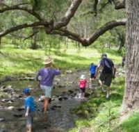 Gordon Country - Hotel Accommodation