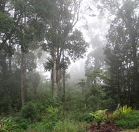 Arborlee Rainforest Retreat - Hotel Accommodation