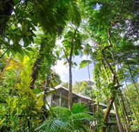 Daintree Eco Lodge and Spa - Hotel Accommodation