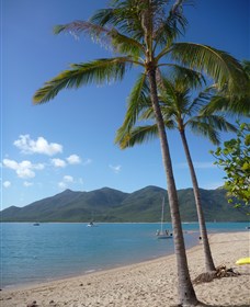 Montes Reef Resort - Hotel Accommodation 3