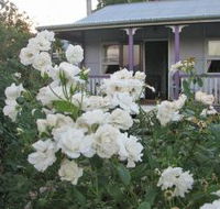 Thistledown Country Retreat - Hotel Accommodation