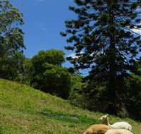 Wattle Gully Retreat - Hotel Accommodation