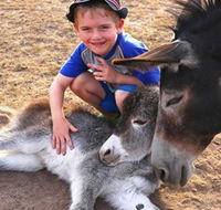 Destiny Boonah ECO Cottages and Donkey Farm - Hotel Accommodation