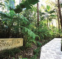 Songbirds Rainforest Retreat - Hotel Accommodation