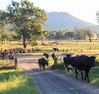Tommerups Dairy Farmstay - Hotel Accommodation