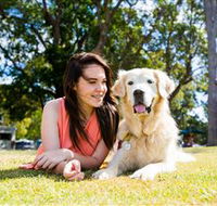 Jacobs Well Tourist Park - Hotel Accommodation