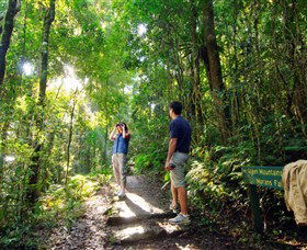 O'Reilly's Rainforest Retreat - Hotel Accommodation 2