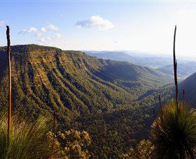 O'Reilly's Rainforest Retreat - Hotel Accommodation 3