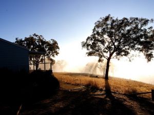 Yellowbox Country Cabins - Hotel Accommodation 5