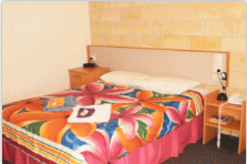 A Country View Motel - Hotel Accommodation 4