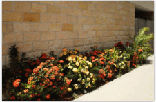 A Country View Motel - Hotel Accommodation 11