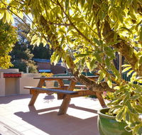 Best Western Alpine Motor Inn - Hotel Accommodation