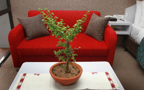 BEST WESTERN Sea Spray Motel - Hotel Accommodation 14