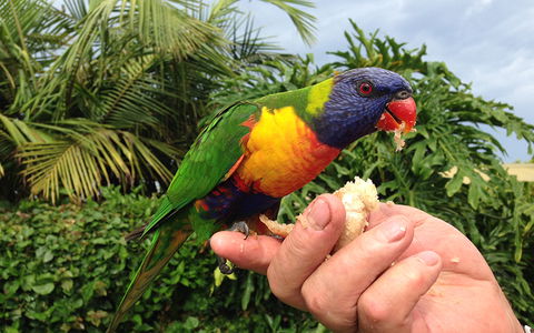 BEST WESTERN Sea Spray Motel - Hotel Accommodation 18