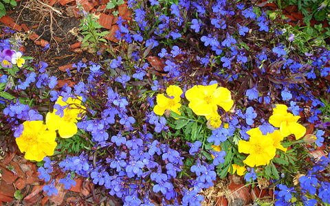 BEST WESTERN Sea Spray Motel - Hotel Accommodation 25