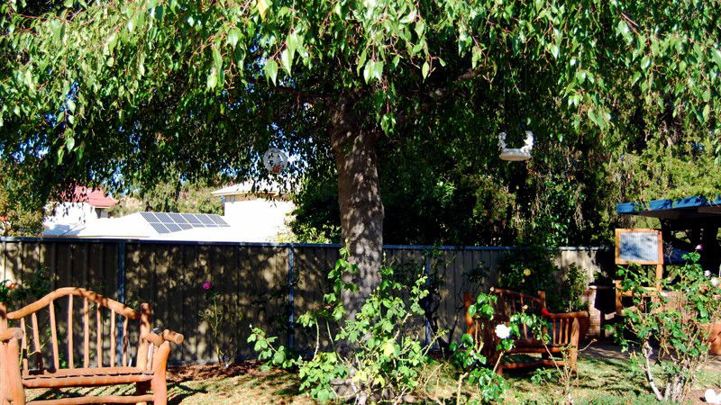 Apple Tree Flat NSW Hotel Accommodation