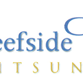 Reefside Villas - Hotel Accommodation