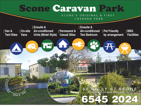 Scone Caravan Park - Hotel Accommodation 5