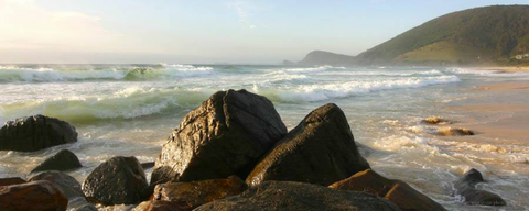 Pacific Palms Signature Properties - Hotel Accommodation 13