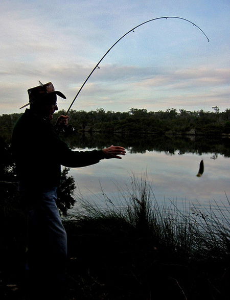 Molloy Caravan Park - Hotel Accommodation 5