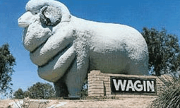 Wagin Motel - Hotel Accommodation 0