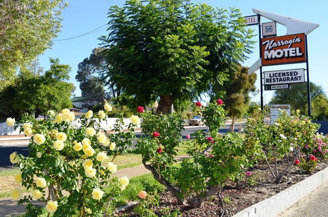 Narrogin Motel - Hotel Accommodation 0
