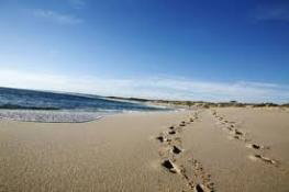 Kalbarri Palm Resort - Hotel Accommodation 4