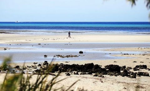 Halcyon Bay - Hotel Accommodation 5