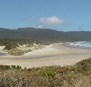 Cloudy Bay Cabin - Hotel Accommodation