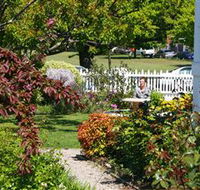 Ashton Gate Guest House - Hotel Accommodation