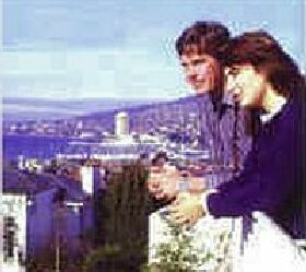 Blue Hills Motel - Hotel Accommodation 1