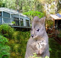 Huon Bush Retreats - Hotel Accommodation