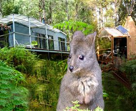 Huon Bush Retreats - Hotel Accommodation 0