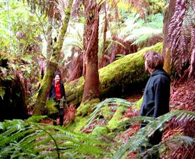 Huon Bush Retreats - Hotel Accommodation 3