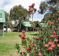 Derwent Bridge Chalets  Studios - Hotel Accommodation
