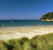 Recreation Cottage - Hotel Accommodation