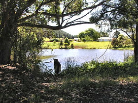 Lapoinya TAS Hotel Accommodation