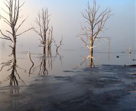Arthurs Lake TAS Hotel Accommodation