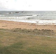 Penguin Caravan Park - Hotel Accommodation