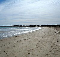 Greens Beach Caravan Park - Hotel Accommodation