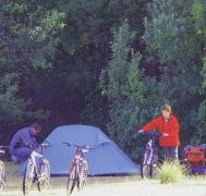 Maria Island Camping Ground - Hotel Accommodation