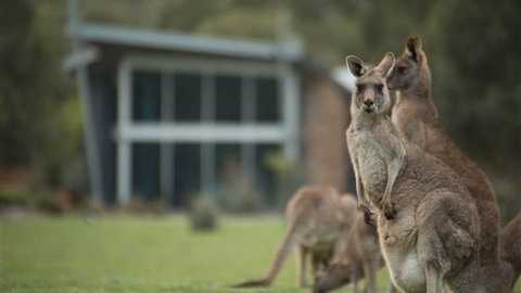 Aspect Villas - Hotel Accommodation 5